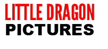Little Dragon Pictures